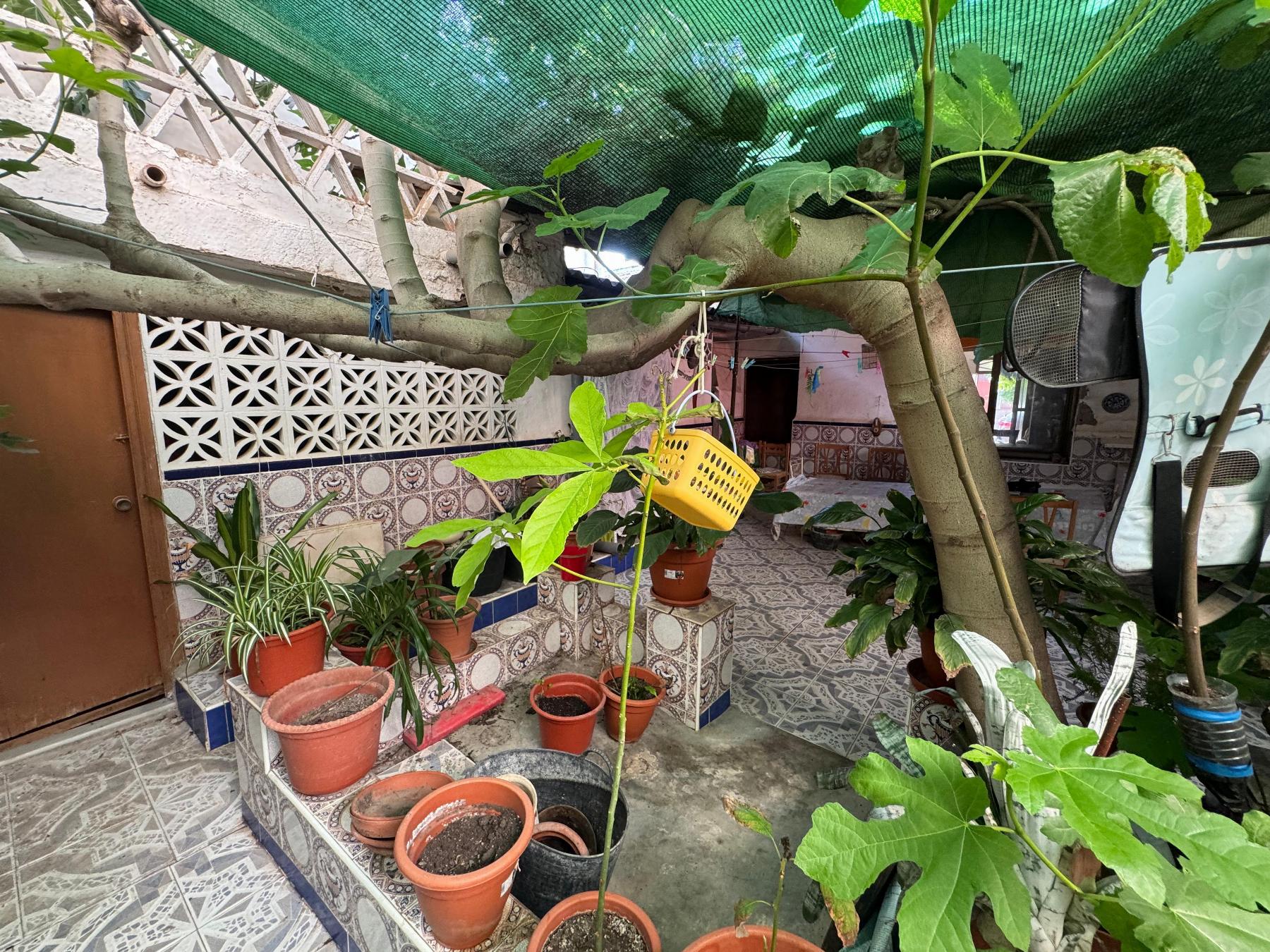 Village House in Benejúzar